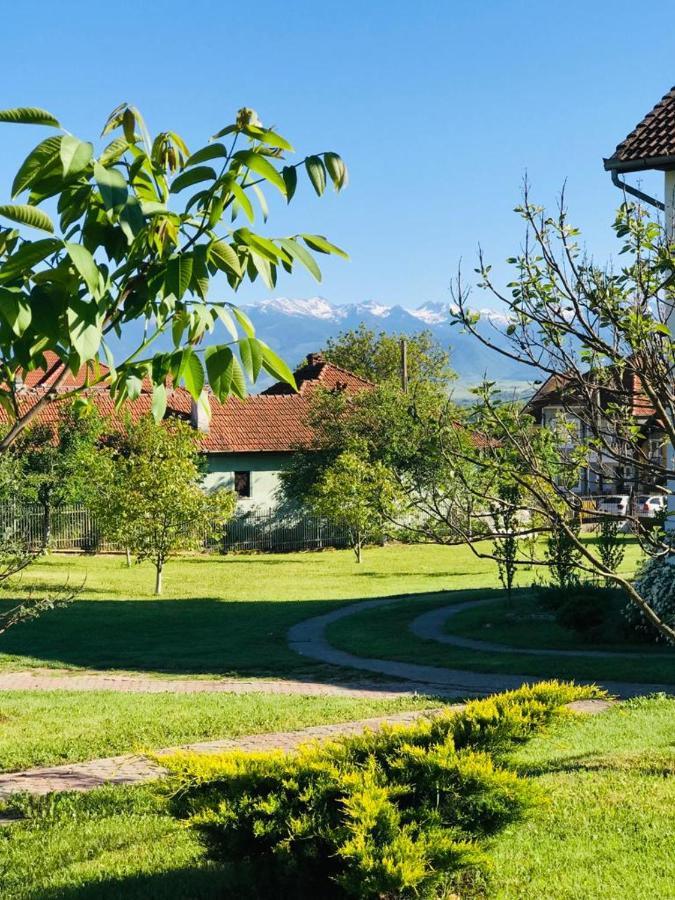 Vila Tara Hategului Kültér fotó