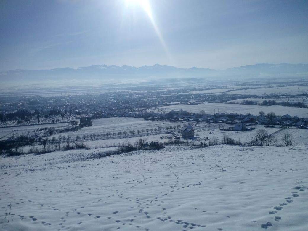 Vila Tara Hategului Kültér fotó